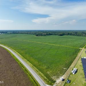 Photo #5 of Davis, Mount Olive, NC 178.9 acres