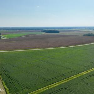 Photo #10 of Davis, Mount Olive, NC 178.9 acres