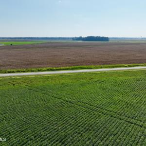 Photo #15 of Davis, Mount Olive, NC 178.9 acres