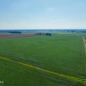 Photo #6 of Davis, Mount Olive, NC 178.9 acres