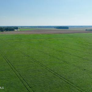 Photo #9 of Davis, Mount Olive, NC 178.9 acres