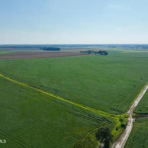 Photo #7 of Davis, Mount Olive, NC 178.9 acres
