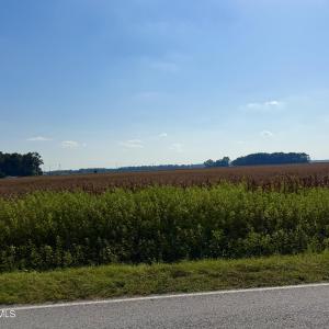 Photo #3 of Davis, Mount Olive, NC 178.9 acres