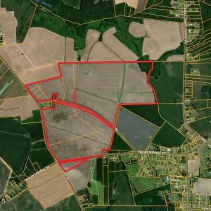Photo #1 of Davis, Mount Olive, NC 178.9 acres