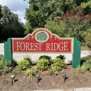 Photo #4 of 306 Joans, Stella, NC 2.4 acres