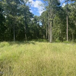 Photo #2 of 306 Joans, Stella, NC 2.4 acres