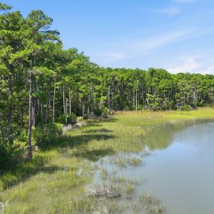 Photo #6 of 1980 Live Oak, Beaufort, NC 41.6 acres