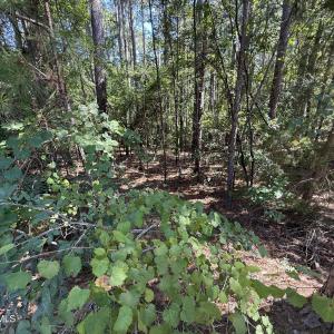 Photo #4 of 3-17 Bay Circle, McCormick, SC 0.3 acres