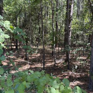 Photo #3 of 3-17 Bay Circle, McCormick, SC 0.3 acres