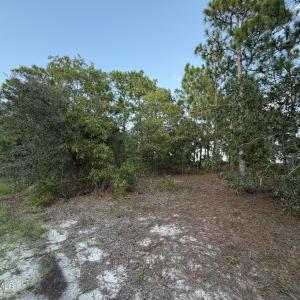 Photo #2 of 6061 Shiloh, Wilmington, NC 0.3 acres