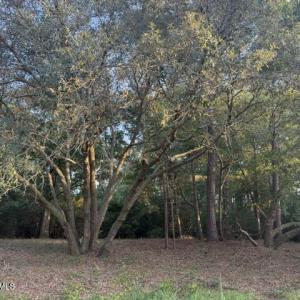 Photo #1 of 301 Lehigh, Wilmington, NC 0.7 acres