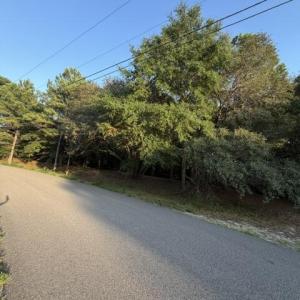 Photo #2 of 301 Lehigh, Wilmington, NC 0.7 acres