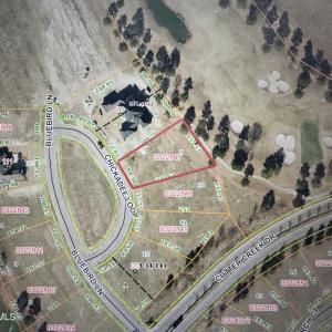 Photo #20 of 9 Chickadee, Snow Hill, NC 0.6 acres