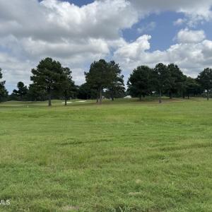 Photo #11 of 9 Chickadee, Snow Hill, NC 0.6 acres