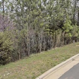 Photo #2 of 67 Lookout, Pittsboro, NC 0.4 acres