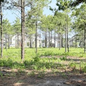 Photo #12 of 310 Seaside. (12.25 Acres), Sunset Beach, NC 3.1 acres
