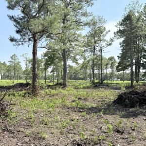Photo #6 of 310 Seaside. (12.25 Acres), Sunset Beach, NC 3.1 acres
