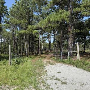 Photo #3 of 310 Seaside. (12.25 Acres), Sunset Beach, NC 3.1 acres
