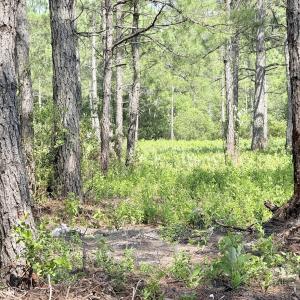 Photo #11 of 310 Seaside. (12.25 Acres), Sunset Beach, NC 3.1 acres