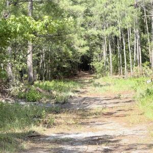 Photo #10 of 310 Seaside. (12.25 Acres), Sunset Beach, NC 3.1 acres