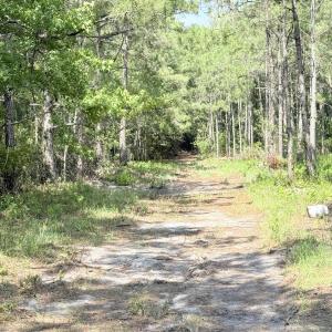 Photo #8 of Seaside. (12.25 Acres), Sunset Beach, NC 12.3 acres
