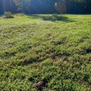 Photo #1 of 411 Timberwind, Leland, NC 0.5 acres