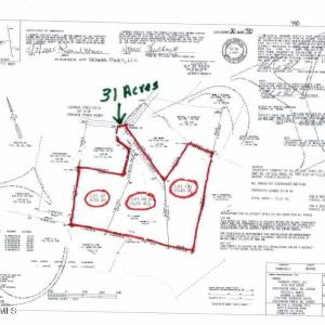 Photo #1 of 501 Grande Pines, Jackson Springs, NC 31.2 acres