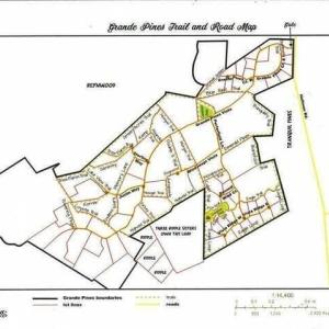 Photo #7 of 501 Grande Pines, Jackson Springs, NC 31.2 acres