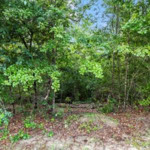 Photo #5 of Lot S-17 Scarborough Pass, Aiken, SC 0.7 acres