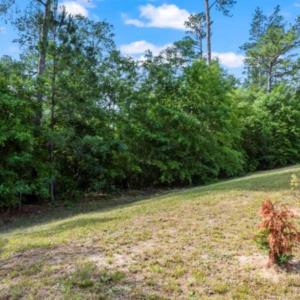 Photo #2 of Lot S-17 Scarborough Pass, Aiken, SC 0.7 acres