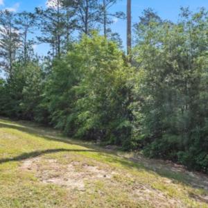 Photo #3 of Lot S-17 Scarborough Pass, Aiken, SC 0.7 acres