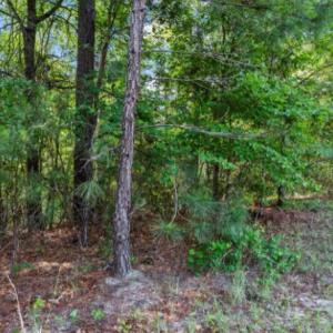 Photo #6 of Lot S-17 Scarborough Pass, Aiken, SC 0.7 acres