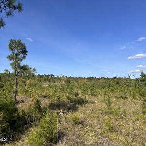 Photo #6 of Hwy 139 And Hwy 28 Old Plum Branch Rd, Plum Branch, SC 42.7 acres