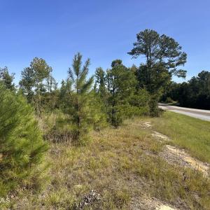 Photo #3 of Hwy 139 And Hwy 28 Old Plum Branch Rd, Plum Branch, SC 42.7 acres