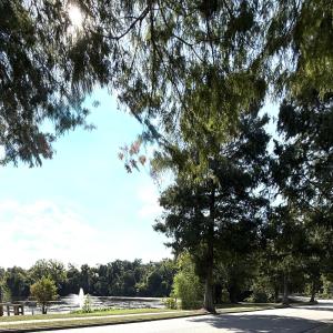 Photo #4 of 191 Rivernorth, North Augusta, SC 0.5 acres