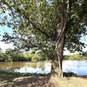 Photo #3 of 191 Rivernorth, North Augusta, SC 0.5 acres