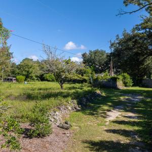 223 Moore's Landing - Aerials - MLS