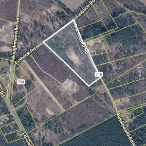 Photo #1 of Tbd Buckboard, Wagener, SC 10.0 acres
