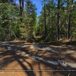 Photo #3 of 00-00 Strother, Aberdeen, NC 26.7 acres