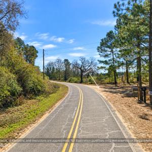 Photo #9 of 00-00 Strother, Aberdeen, NC 26.7 acres