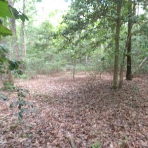 Photo #2 of Lot 37 Plantation, Elizabethtown, NC 0.5 acres