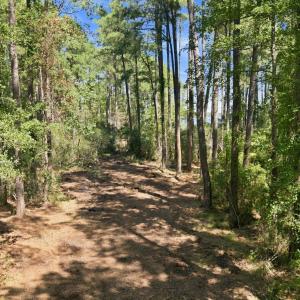Photo #11 of Bettie, Aurora, NC 2.3 acres