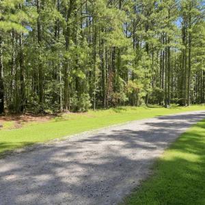 Photo #14 of Bettie, Aurora, NC 2.3 acres