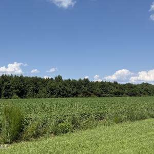 Photo #8 of Bay City, Aurora, NC 34.3 acres
