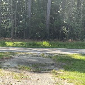 Photo #13 of Bay City, Aurora, NC 34.3 acres