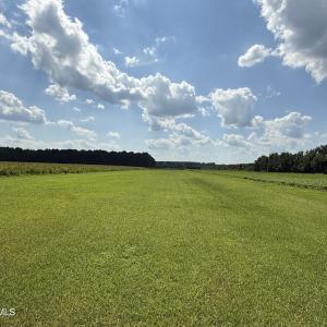 Photo #6 of Bay City, Aurora, NC 34.3 acres