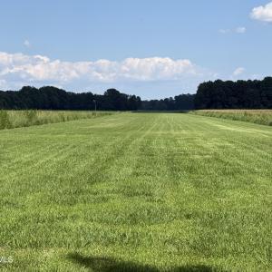 Photo #12 of Bay City, Aurora, NC 34.3 acres