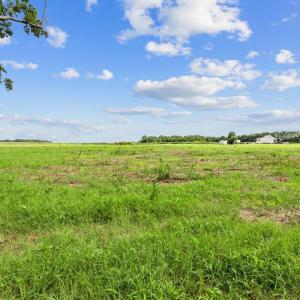Photo #8 of Lot 2 Waller, Mount Olive, NC 3.5 acres