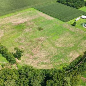 Photo #2 of Lot 2 Waller, Mount Olive, NC 3.5 acres