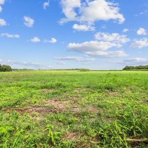 Photo #6 of Lot 3 Waller, Mount Olive, NC 3.4 acres